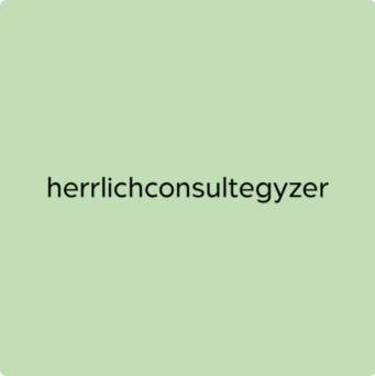 herrlichconsultegyzer_logo_2024.09 - complexredugyzer⎪Bietigheim-Bissingen